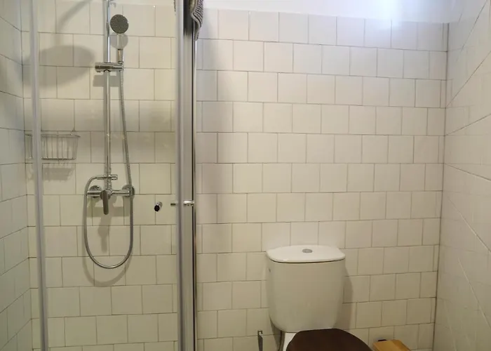 Framer's House - Authentic Downtown Apartman